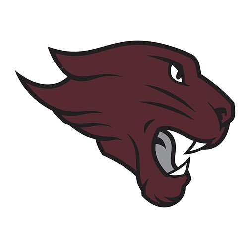 JamesT20035's tweet photo. After talking with @TravonThomas_  and the Head Coach, I’m blessed to receive my First Offer to play Football at Concordia University Chicago 🙏. #GoCougars @CUCFBFamily 
@OLMafia @coachdevon_reed @CoachD_Will @CoachH_PR https://t.co/LarAg5ow5R