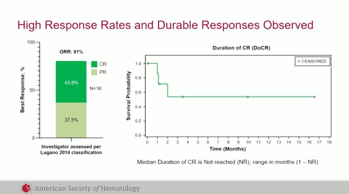 Lymphoma Hub tweet media