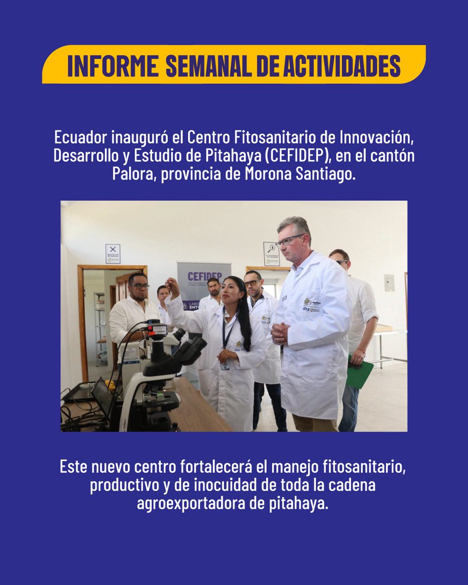 AgriculturaEc's tweet photo. #MAGPInforma | Impulsamos el agro ecuatoriano con acciones que fortalecen la innovación y la productividad
🔬 Inauguramos un nuevo centro de investigación, entregamos incentivos y capacitamos a productores en todo el país.
🌱Seguimos construyendo un campo más competitivo y sostenible. 🚜
Conoce el trabajo del #MAGP por el sector agropecuario de #ElNuevoEcuador.