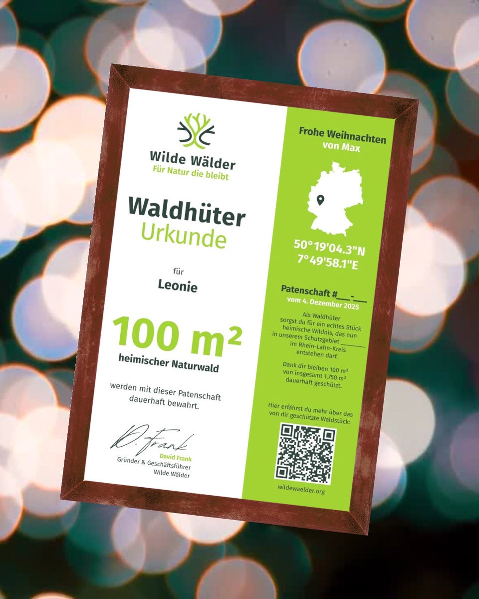 Wenn ihr an Weihnachten nicht bloß Zeugs, sondern etwas von dauerhaftem Wert verschenken wollt, ist unsere Waldpatenschaft vielleicht genau das Richtige für euch (Urkunde inklusive).
🌳➡️🎁 wildewaelder.org/waldpatenschaf…
