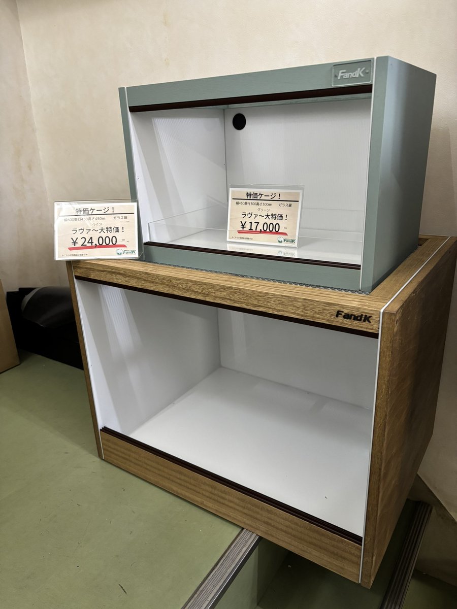 今日も大阪レプタイルラヴァ〜、よろしくお願い致します😊 特価ケージ