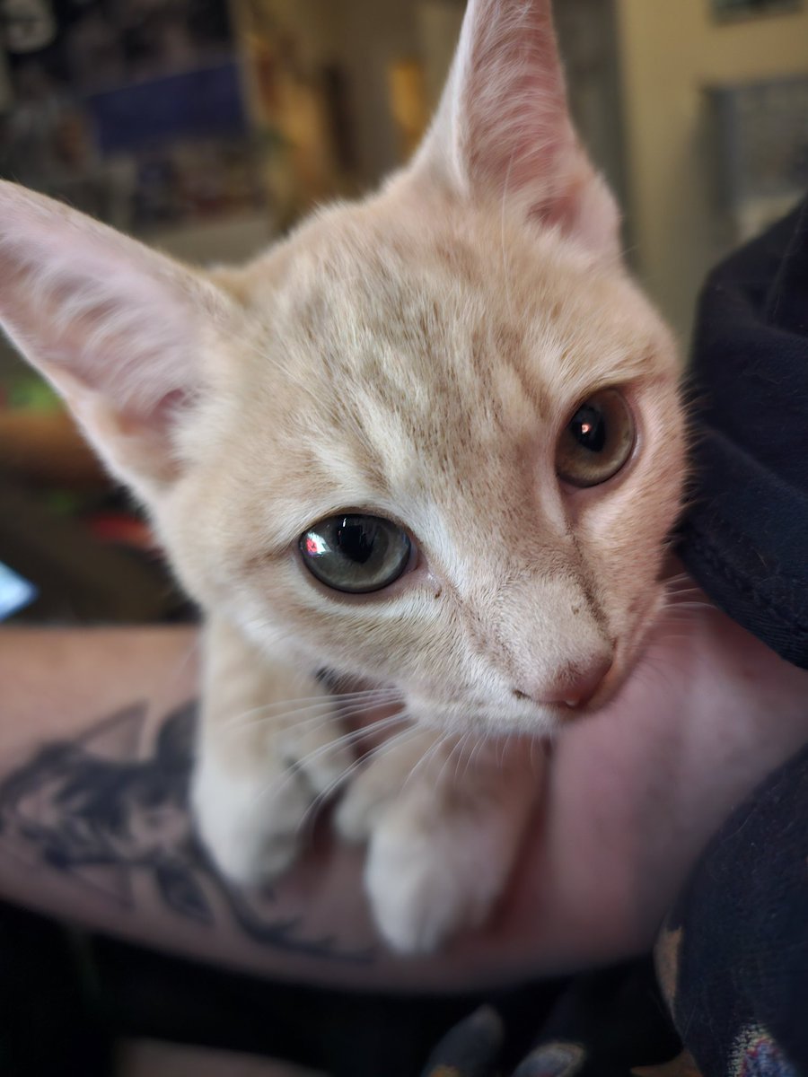 keith :) (COMMS OPEN) tweet media