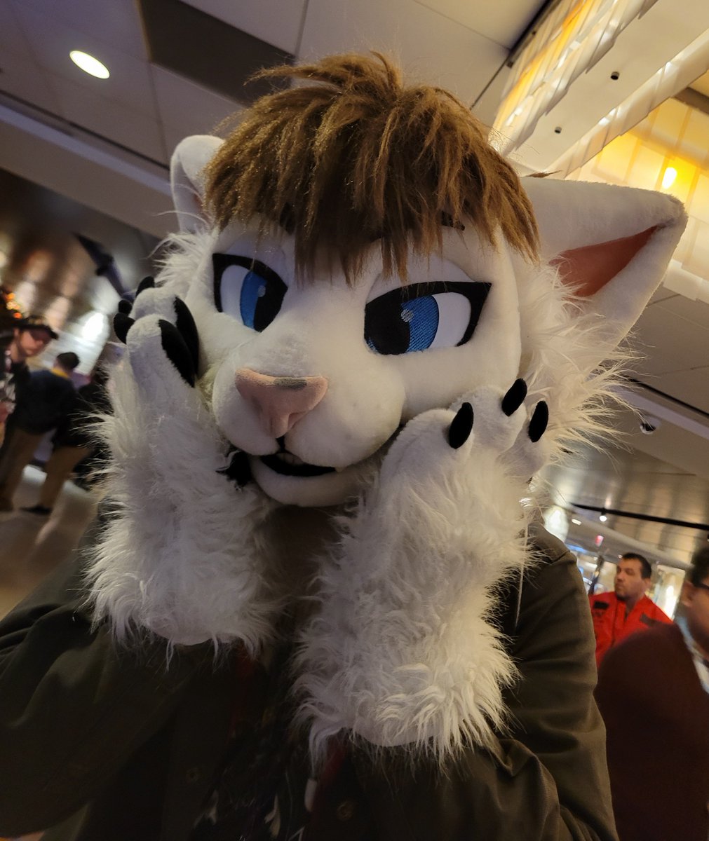 RabbityJoy tweet media