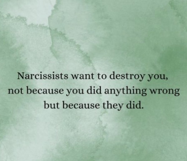 Ryan Daigler - Exposing Narcissistic Abuse 🚩🚩 (@ryan_daigler) on Twitter photo 