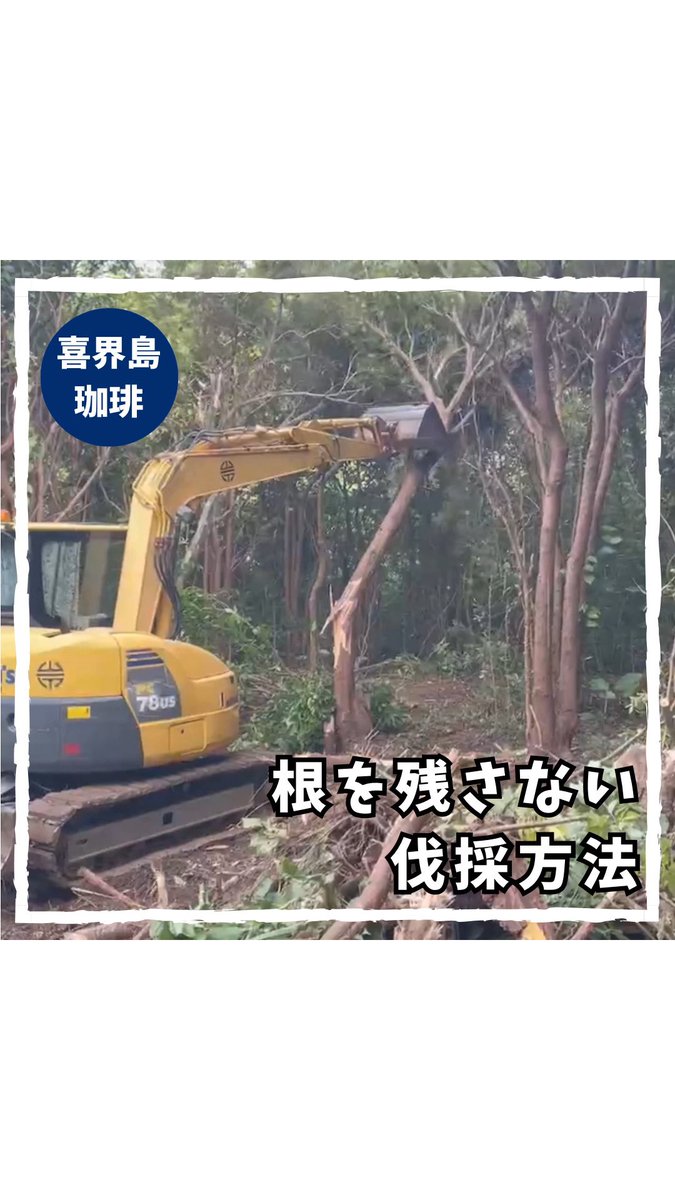 水はけをよくするために行う施策
パプア・ニューギニアのコーヒー農家から教わった開墾方法

instagram.com/reel/DR6ozoJk4…

#コーヒー