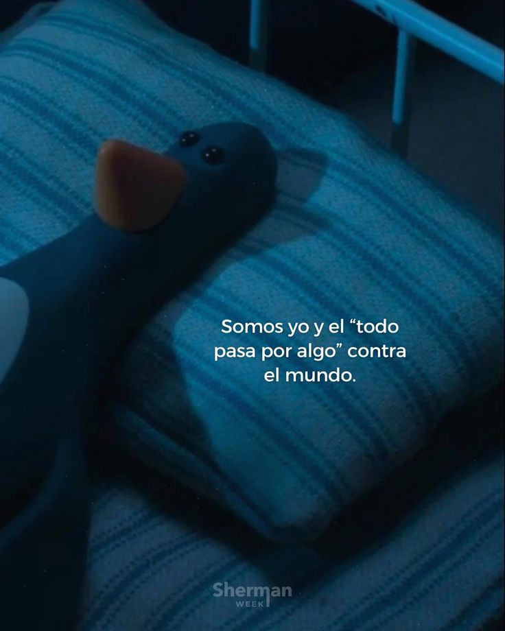 INDIRECTAS (@textodramatico) on Twitter photo 