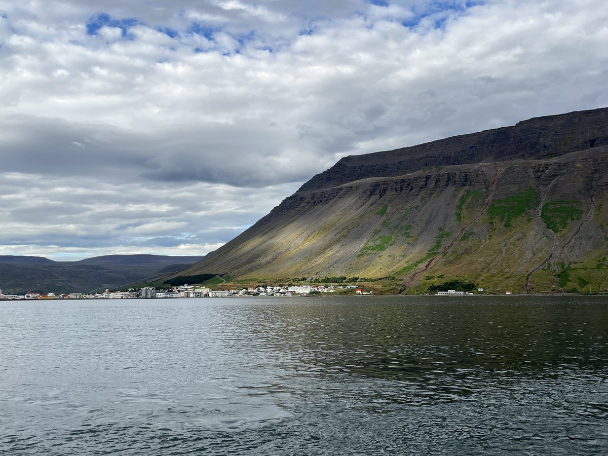 Guapo7x's tweet photo. Climbed my way up the trails above Ísafjörður and found an amazing view. The fjord opened beneath me like a vast, silver mirror, and every step felt like walking deeper into the Icelandic wild. Grateful for the climb! #iceland #traveler #traveling https://t.co/LkompnsanZ