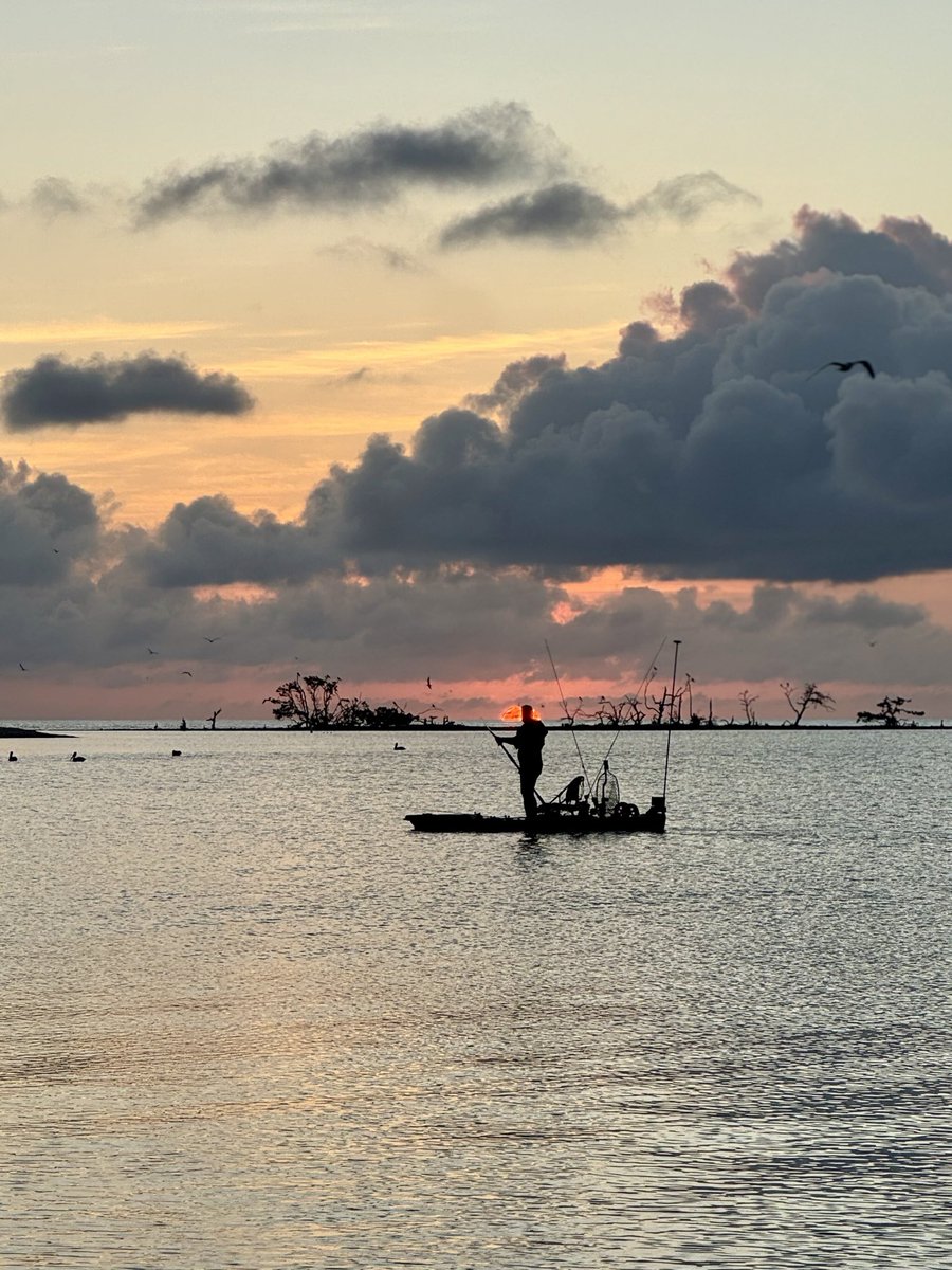 Neil Cavanah tweet media