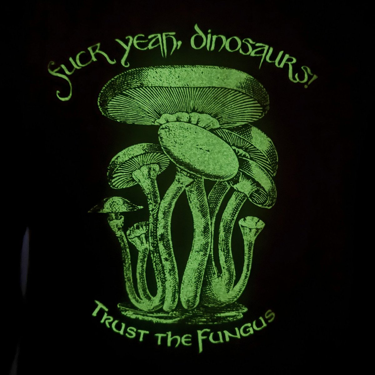 fyeahdinosaurs's tweet image. Sale ends at midnight EST - use code 15YEARS at checkout! 
Jeffgoldblum.org