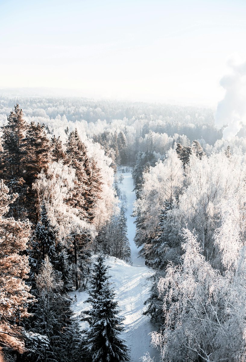 purenature_1's tweet image. Winter beauty ❄️🌨️ #snow #forest