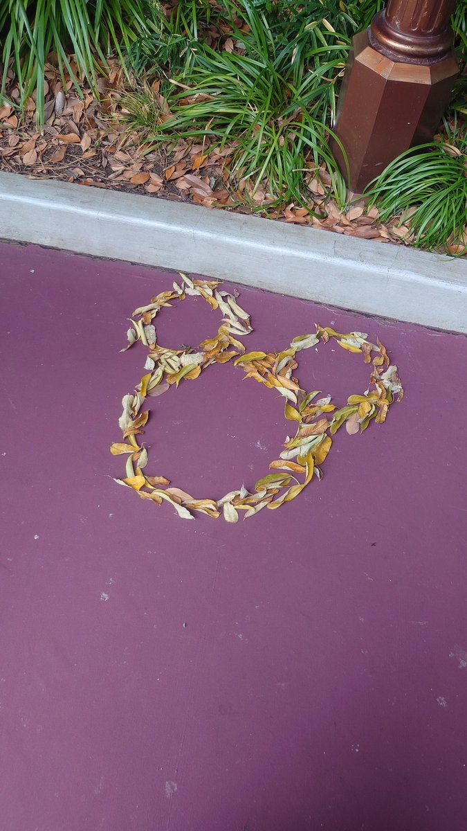 昨日は久しぶりに🌊にインパしてきた😆