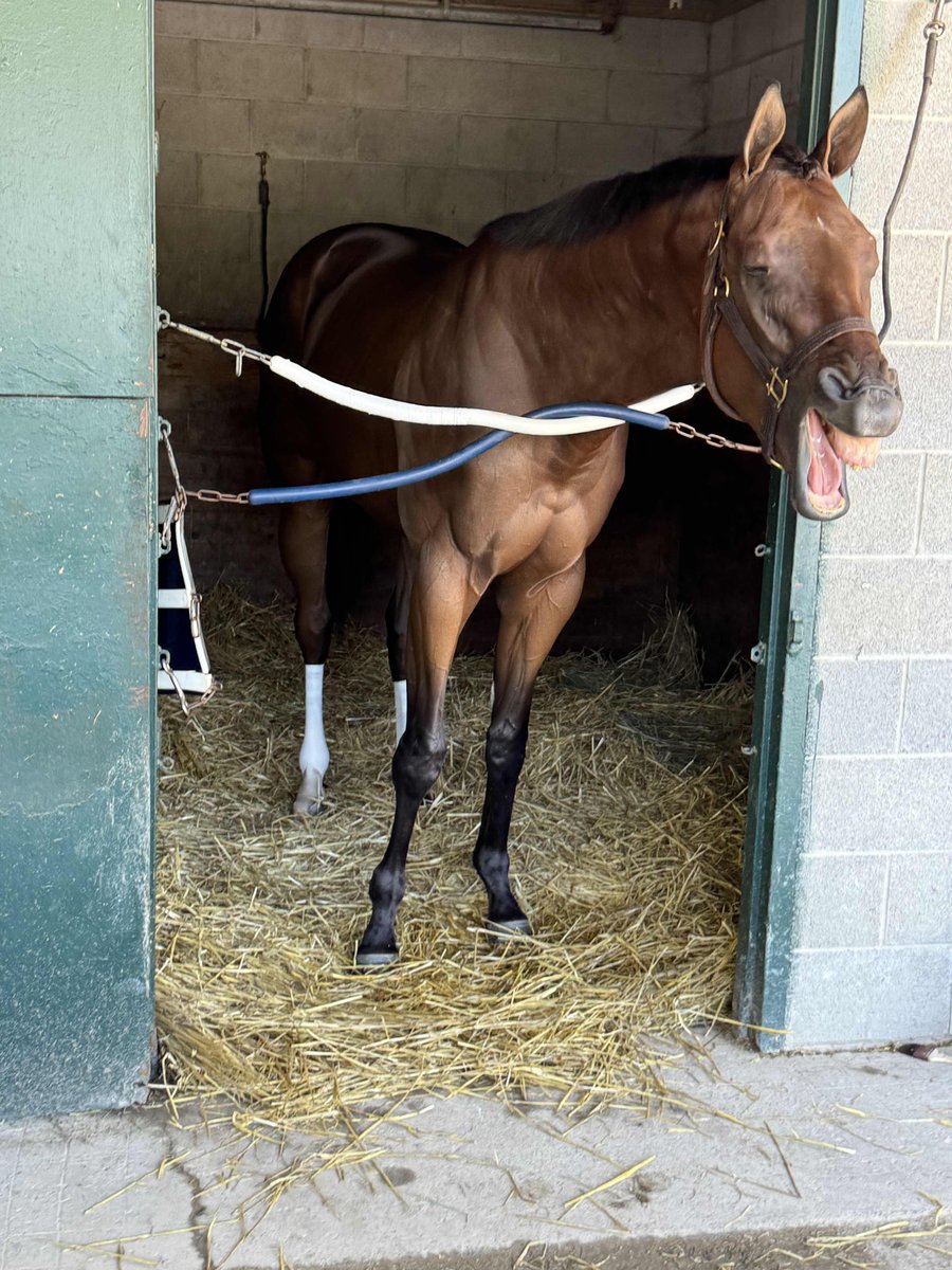 ColtsCouchCrew tweet media