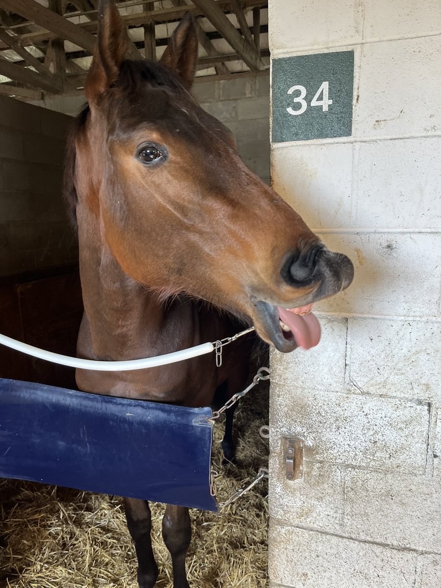 ColtsCouchCrew tweet media