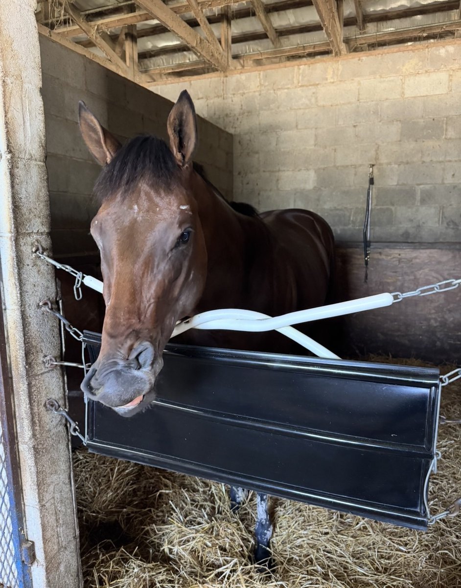 ColtsCouchCrew tweet media