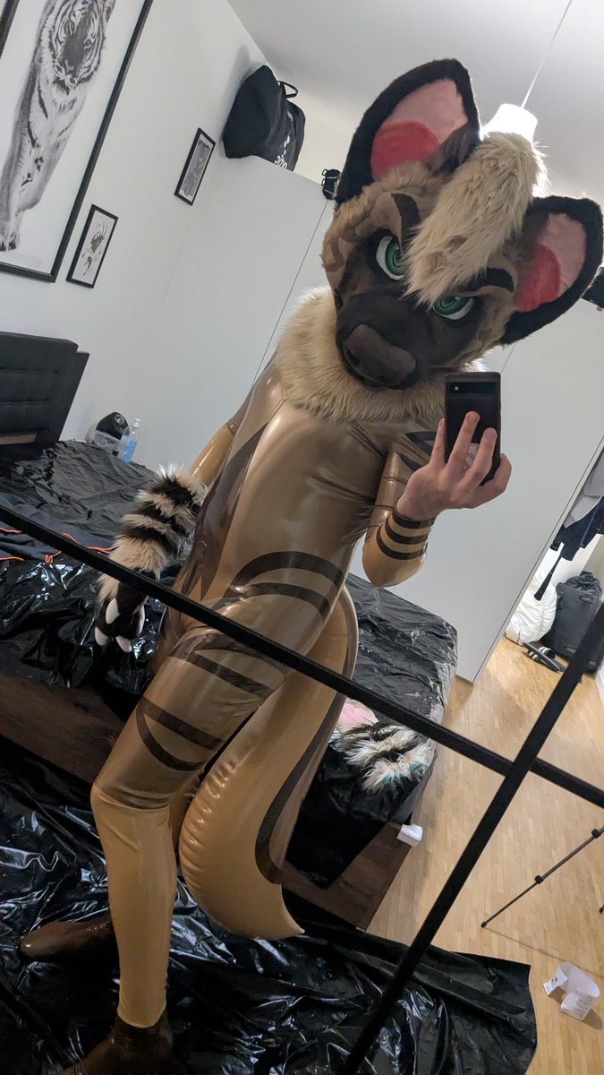 Zephyr in 🇨🇦 tweet media