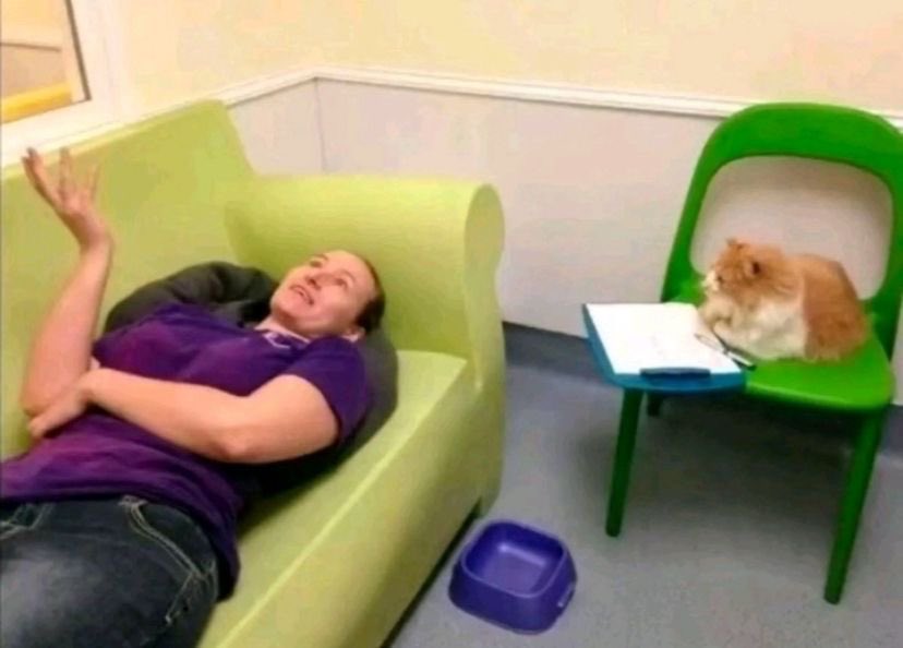 yoongiftzs's tweet image. “ai ele foi lá e matou o franco e depois o dalmo” #hexatombe