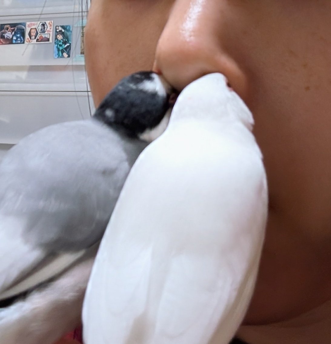 おはようございます