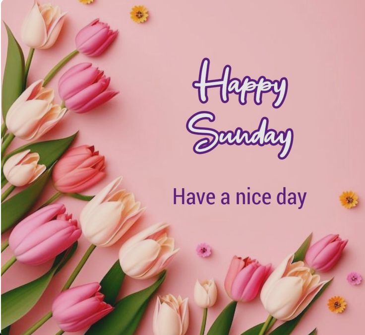 May Sunday fill your heart with light Your mind with calm, your soul with might A gentle pause before the week To find the joy and peace you seek...!!!

HAPPY SUNDAY..!!!
GOOD MORNING..!!!