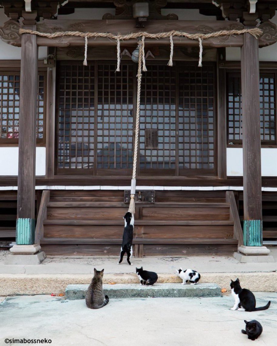 <a href="/Ryoppi05670209/">ryogo_tsushima</a> こちらはみんなでお礼参り
（過去のXから）