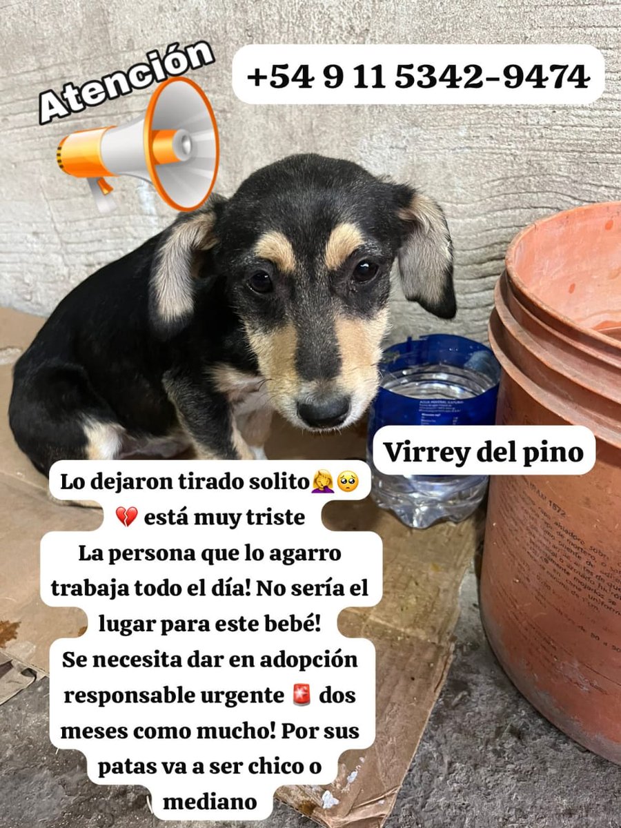 Difundimos