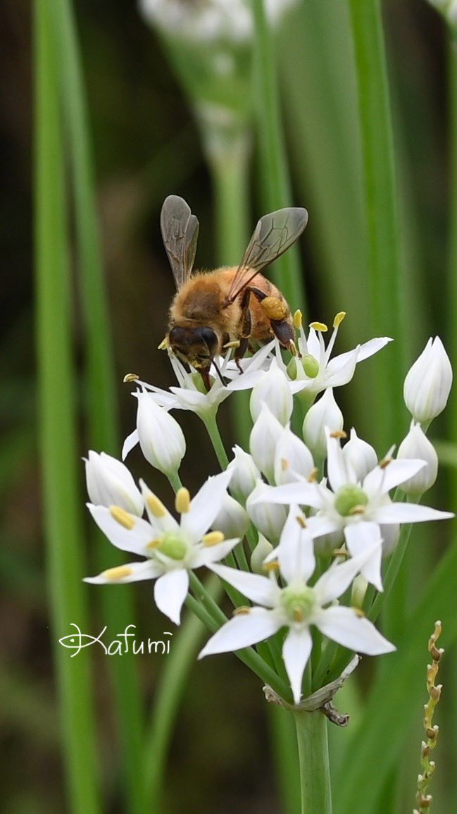 \[V}KWwRXfBAhbgR!!x:ŐV𐏎XV!!