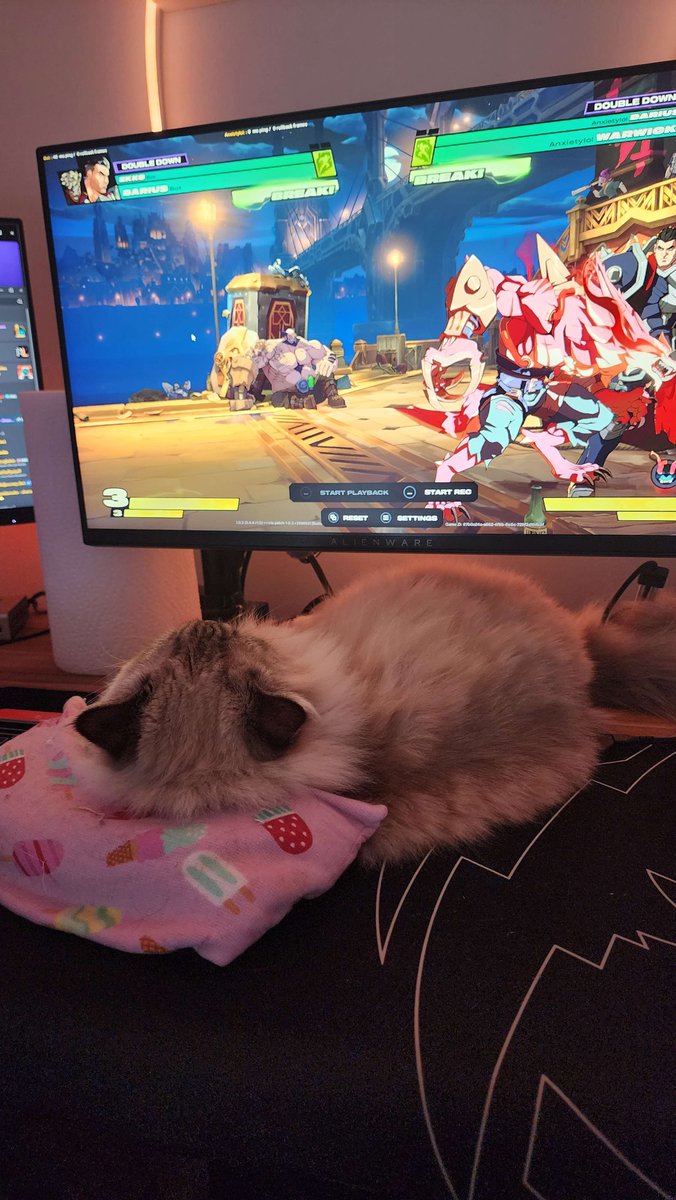 My baby kitten loves to sit under my monitor and watch me play <a href="/Play2XKO/">2XKO</a> :)