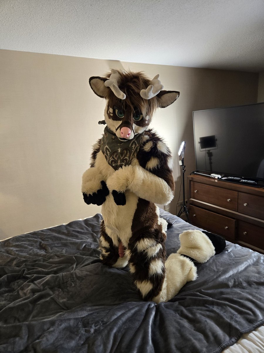 Breeder Buck 🔜 FWA tweet media
