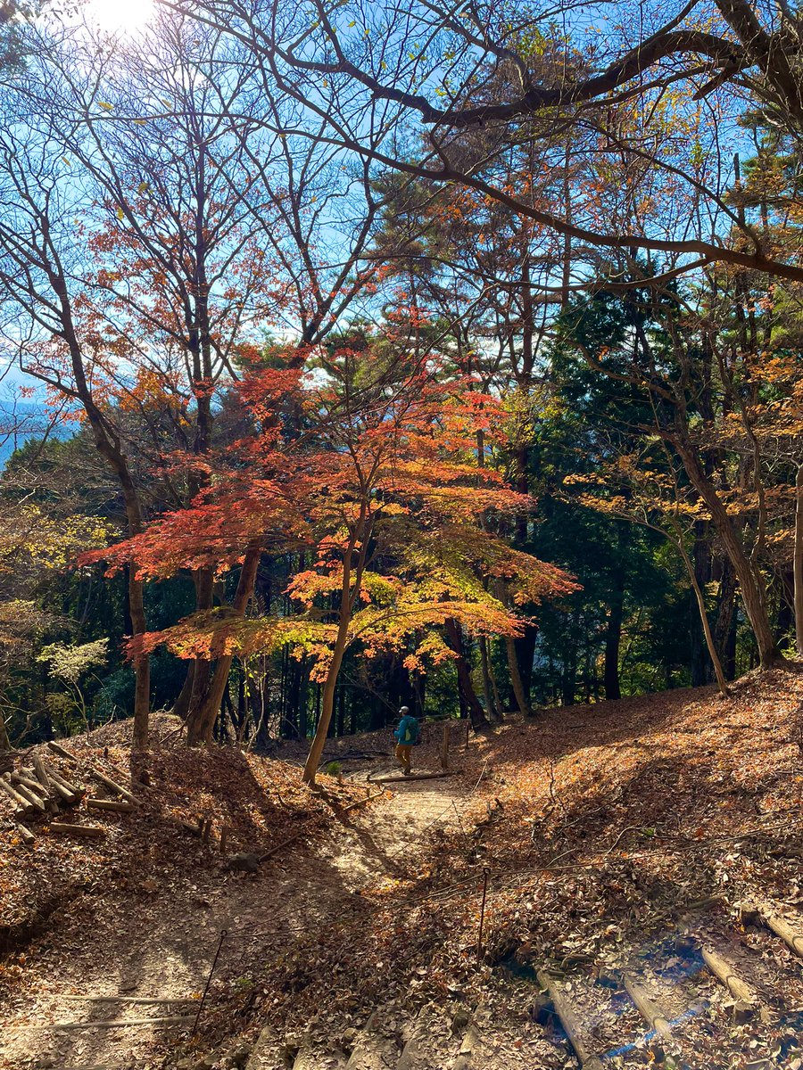 TTeerrann's tweet photo. シーズンオフの体力作りにと始めた山歩きにすっかりハマってます。昨日は丹沢山、8時間かかったけど1567メートル、往復18㎞の登山は最高でした！ https://t.co/OMnKs5K5jN