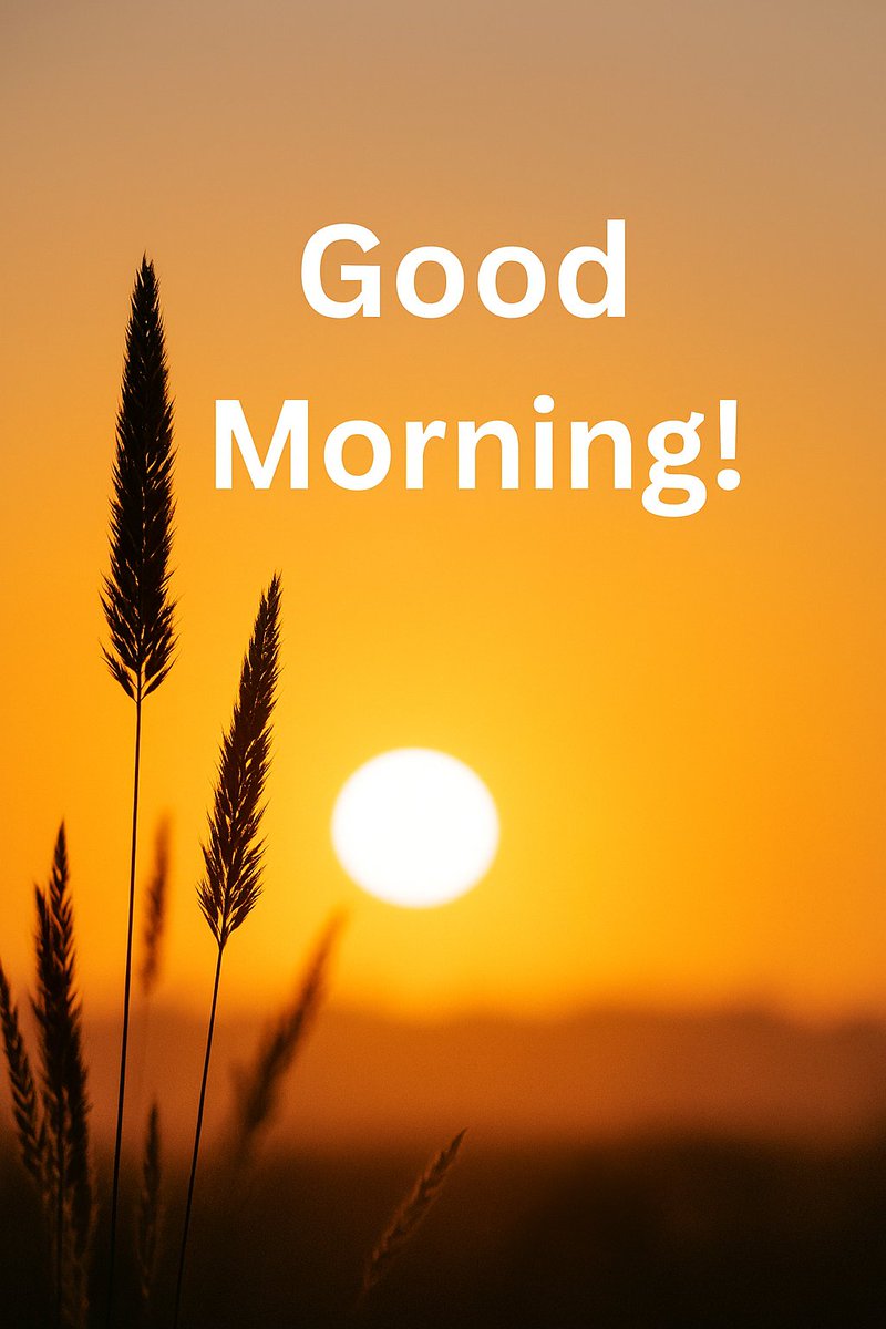 May peace surround you and happiness find you.

Good morning and happy Sunday 😊💕