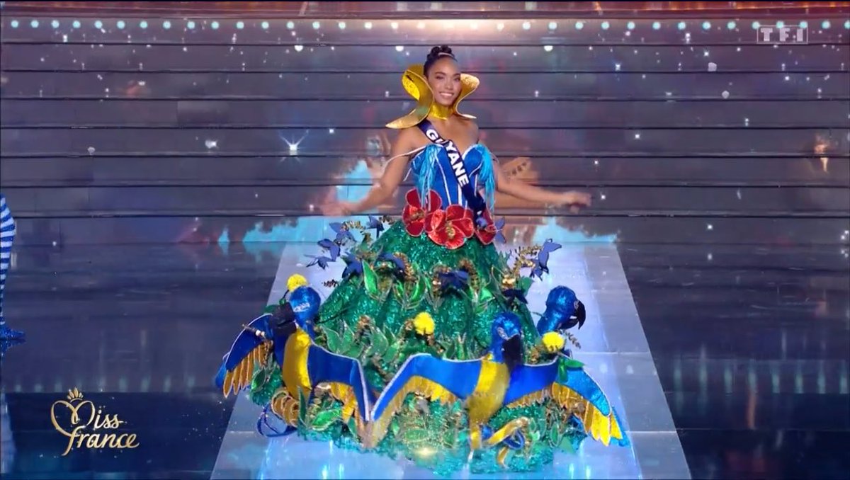 Quand j'ai tellement bien décoré mon sapin que je l'envoie à Miss France

#MissFrance #MissFrance2026
