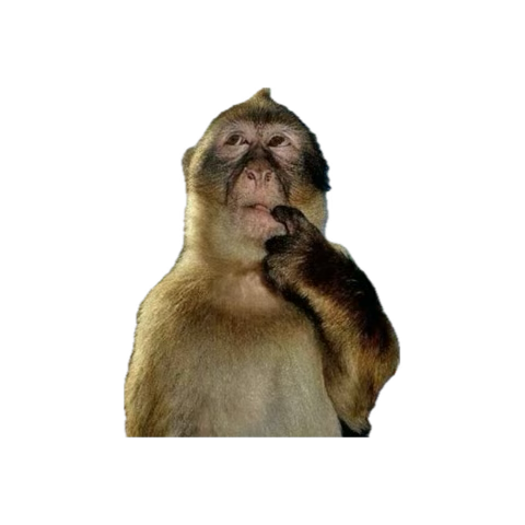 teleshia_'s tweet photo. @905addi are you gonna do the WAP in person? i’m stilling waiting. https://t.co/oHskymZJkC