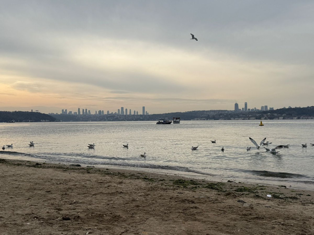 Beykoz'un doğal hali ile korunmuş avuç içi kadar kumsalından karşıya bakış.