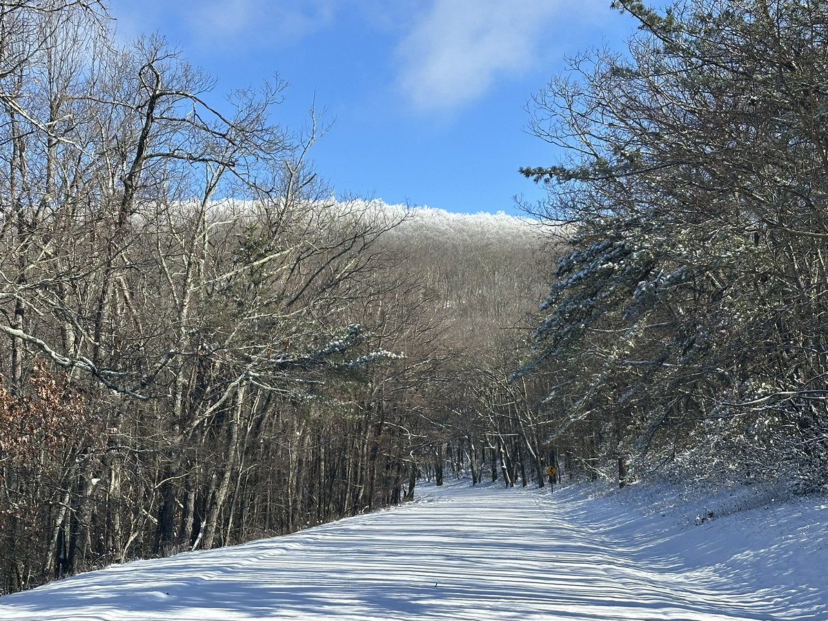 HikingLawyer's tweet image. Taking advantage of a closed Skyline Drive @ShenandoahNPS 

#winteradventure #hikemore