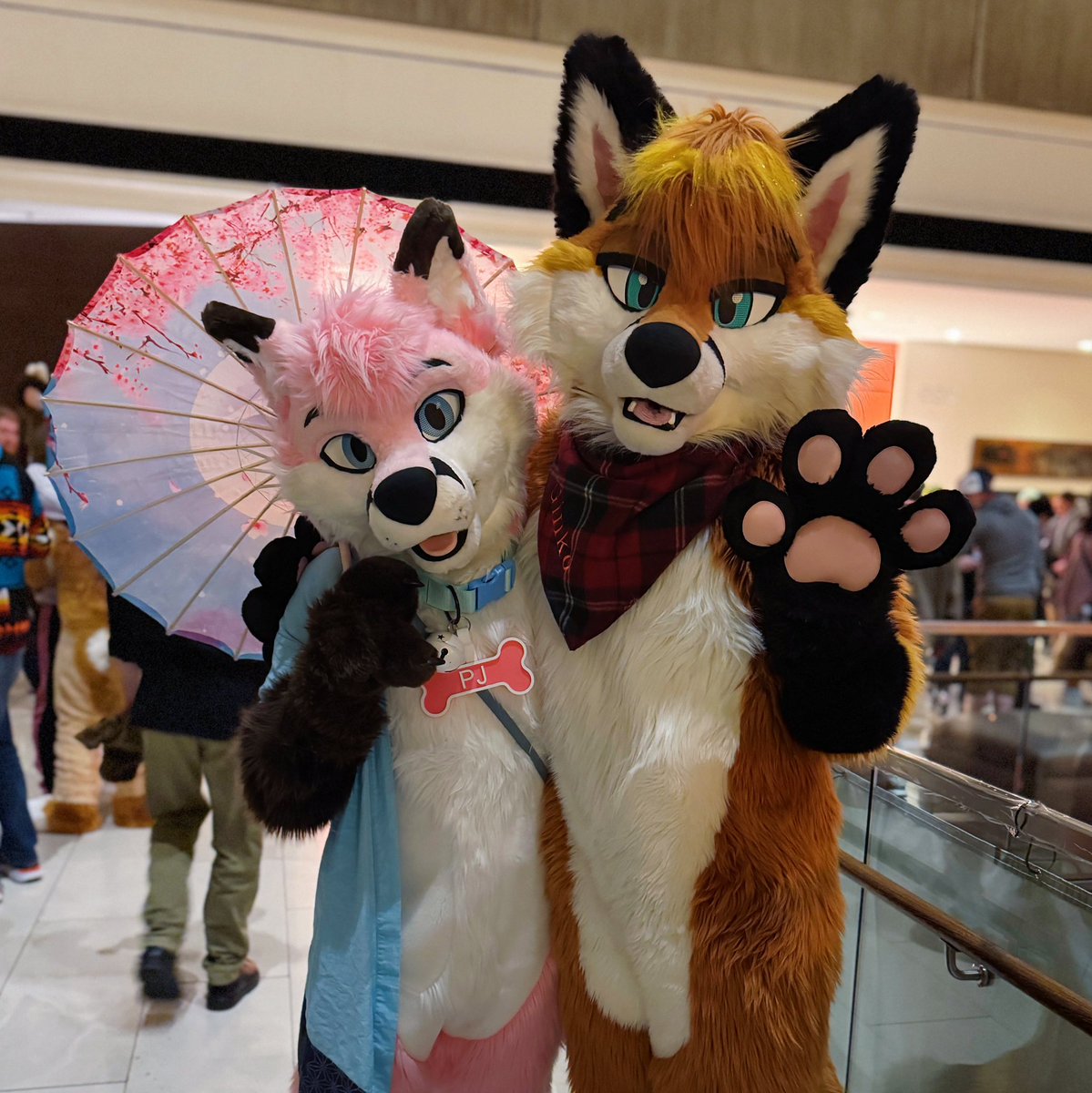 pjfoxes 🦊 🩷 tweet media