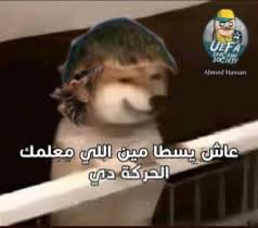 كرستيانو رونالدو حالياً: