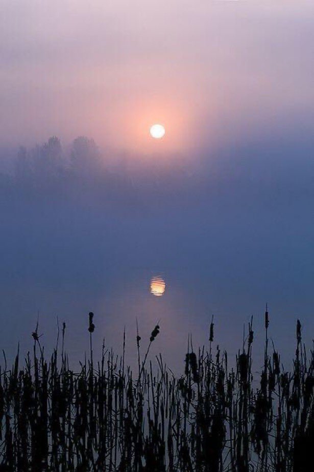 The present is the point at which time touches eternity~

C S Lewis