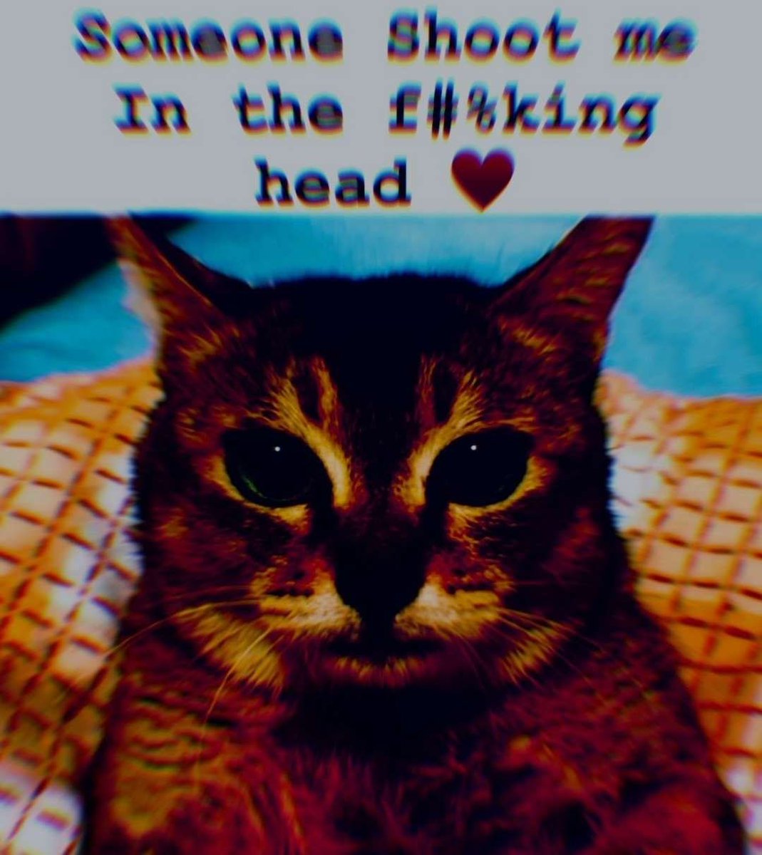 Morgen um 6 Uhr aufstehen um sechseinhalb Stunden Auto fahren zu müssen