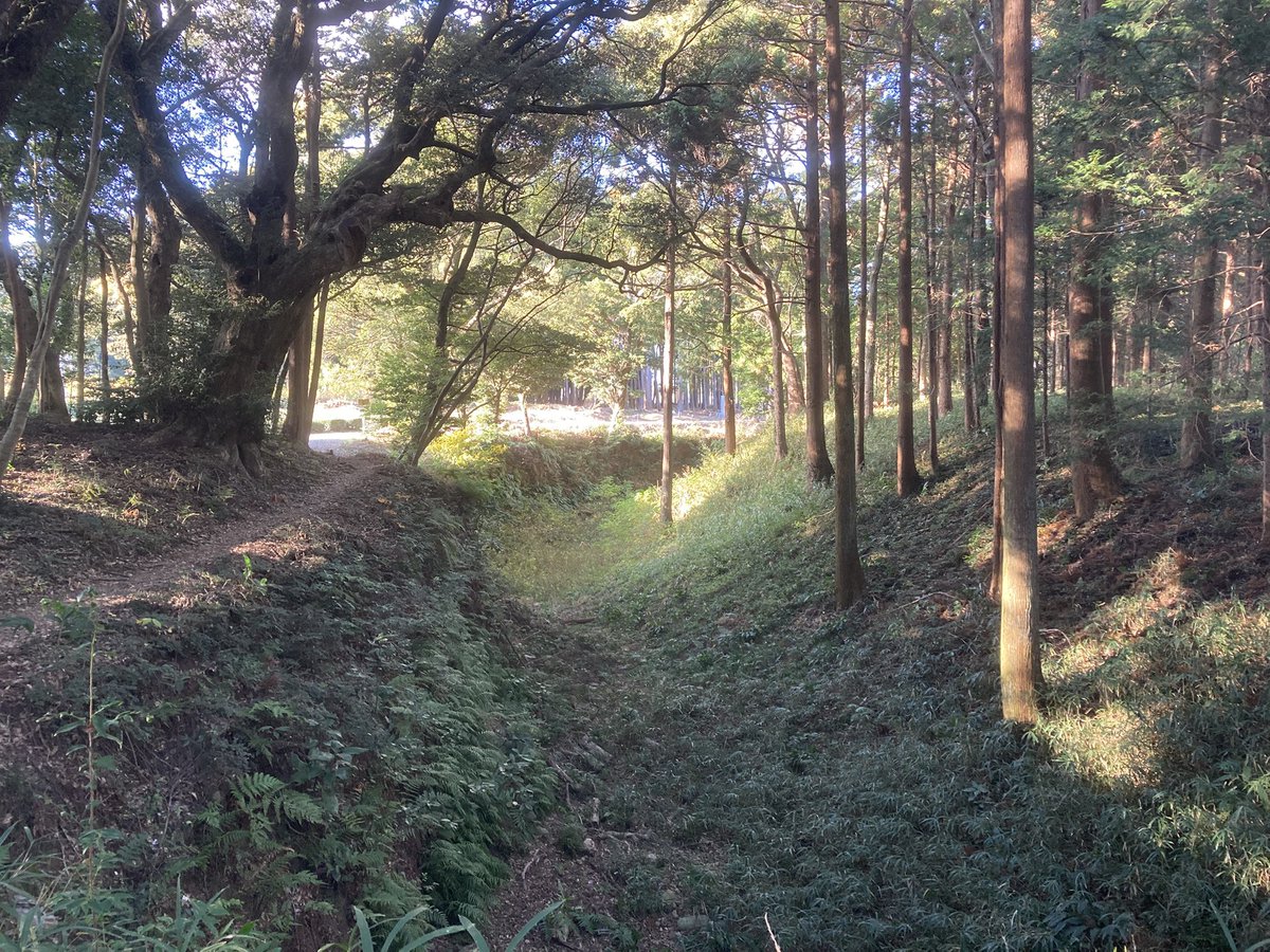 Raymond_1014's tweet photo. 諏訪原城🏯 https://t.co/N4ZxW6CpTL