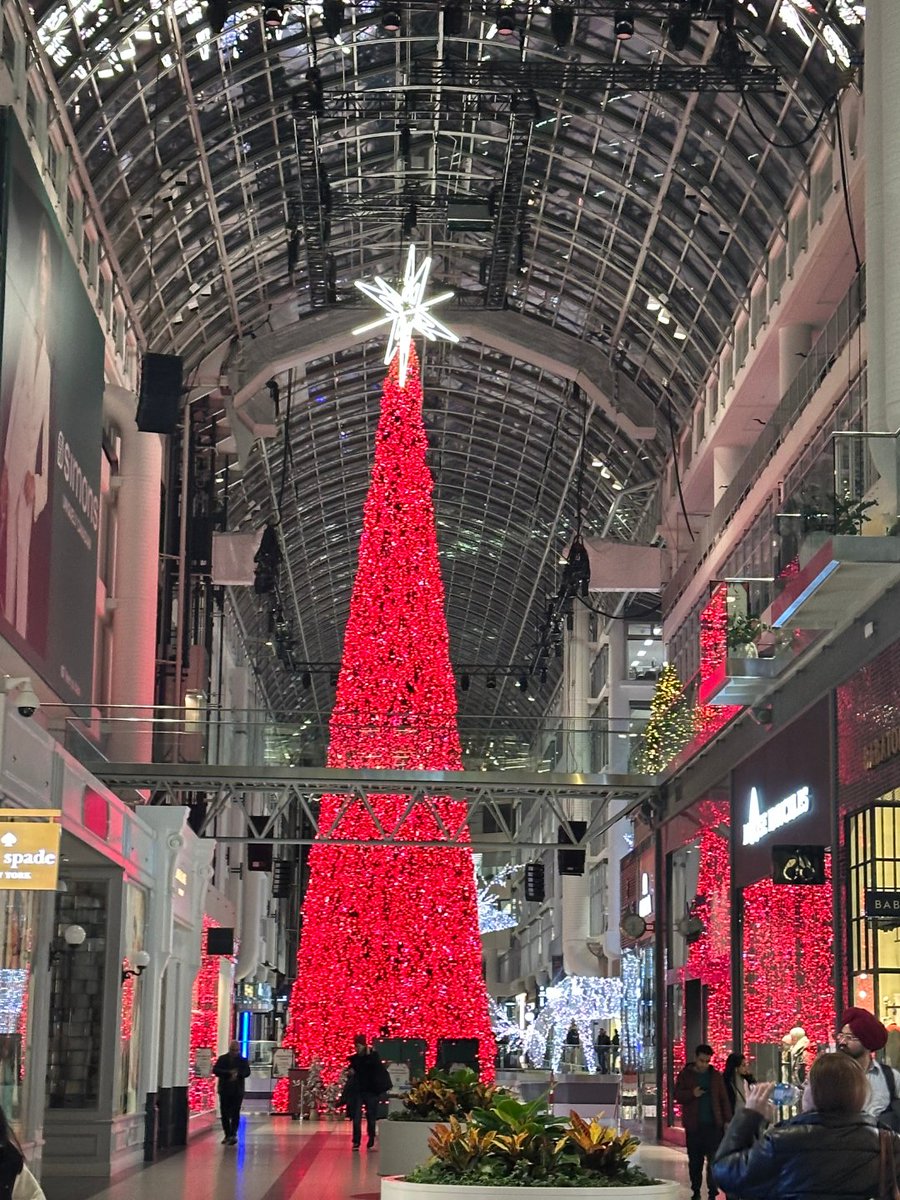 AgeAlibAA's tweet photo. Toronto's magical holiday vibes are in full swing! 🎄✨ https://t.co/socYPqLvEI