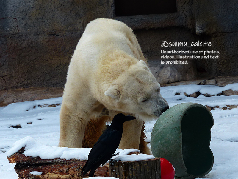 すーさん@誤字多め (@suimu_calcite) / Posts / X