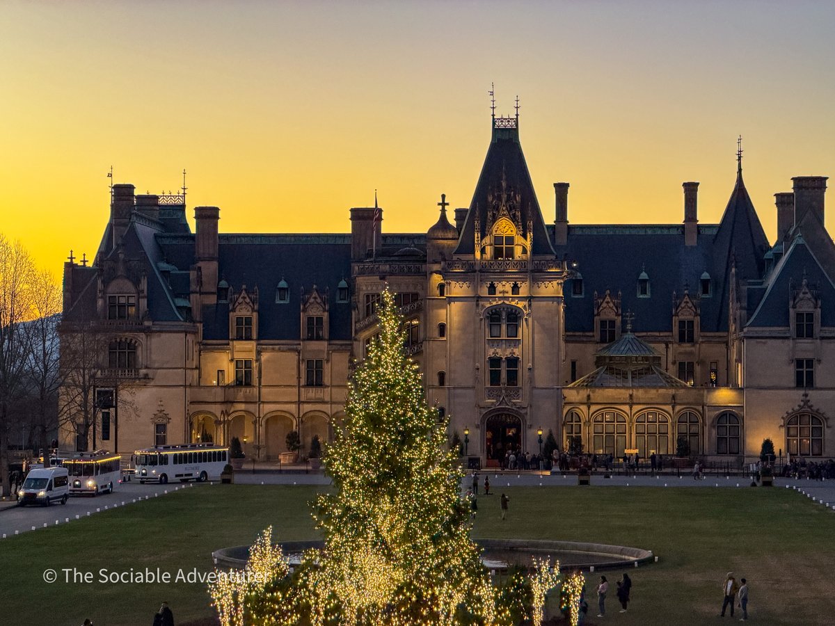 The Sociable Adventurer tweet media