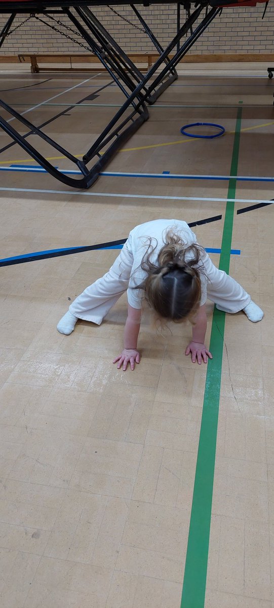 Whitley bay gymnastics club Gail Robson tweet media