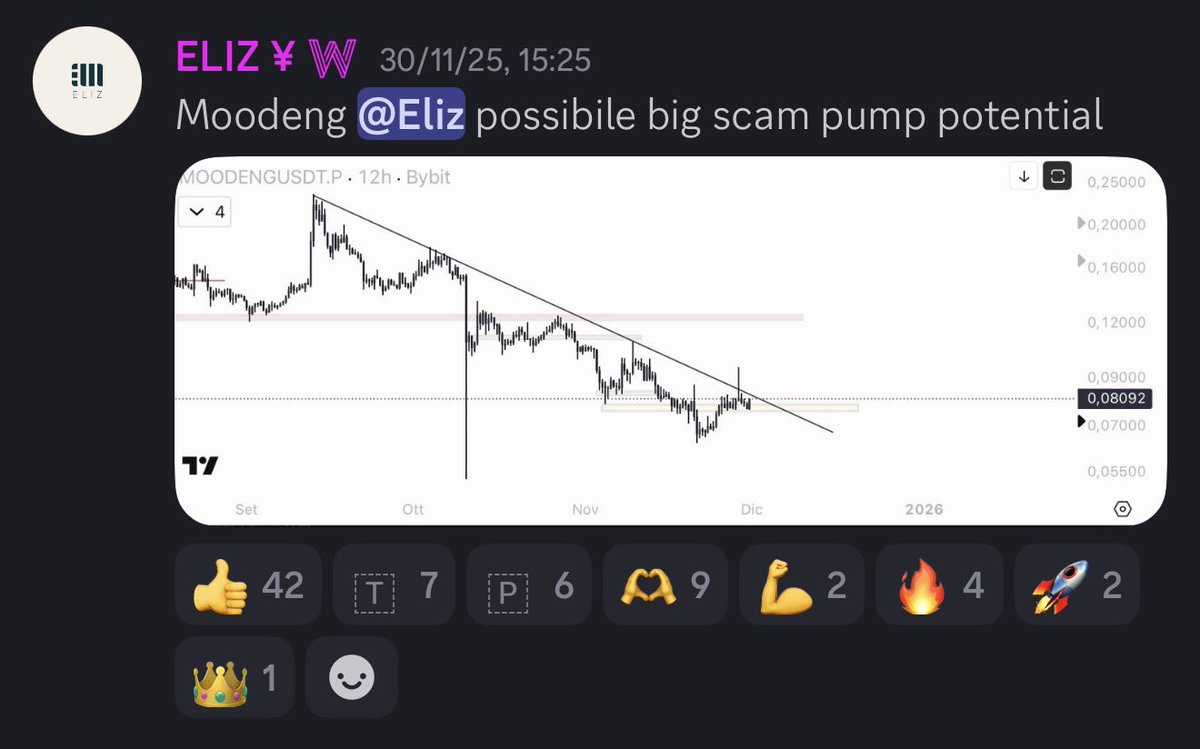 EliZ tweet media