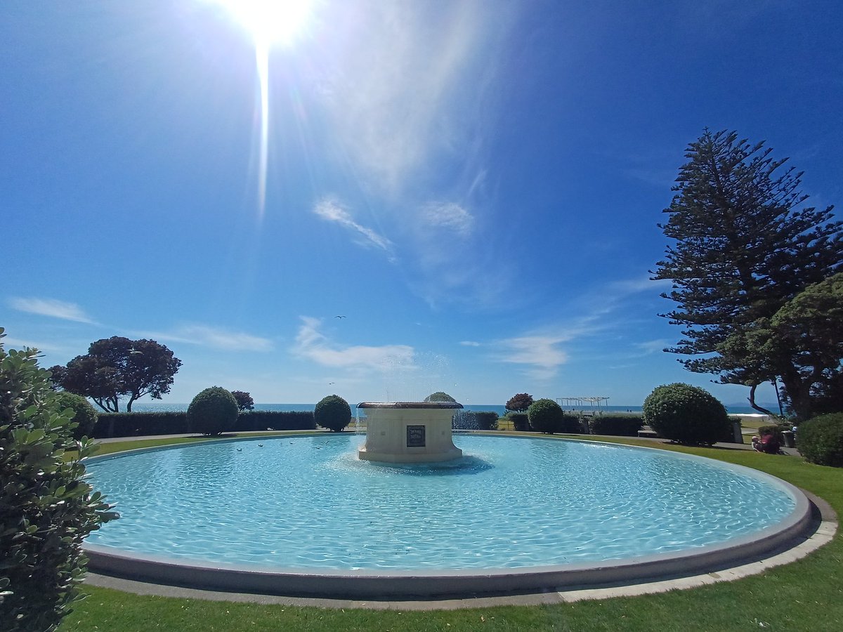 NapierinFrame's tweet image. #DefaultSettings here in Napier today. 
Christmas Parade in the CBD from 1pm.