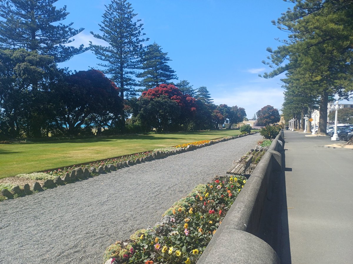 NapierinFrame's tweet image. #DefaultSettings here in Napier today. 
Christmas Parade in the CBD from 1pm.