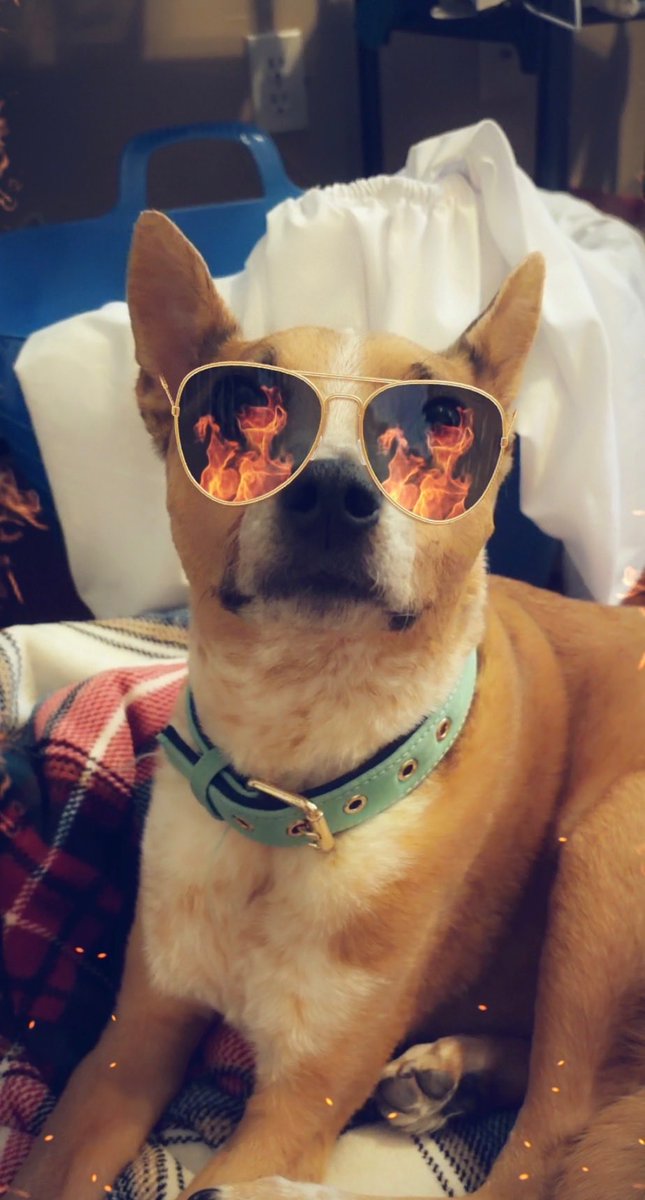 BaseballPrepper's tweet image. 