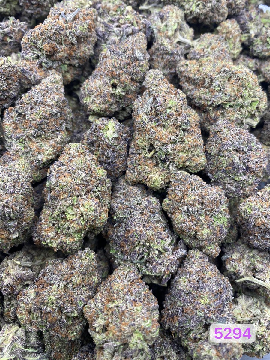 GIAEXOTIX's tweet photo. Peanut Butter Fritter
Check out the link for full media
https://t.co/JiTL1cONan
https://t.co/lO8XYKDk8g
#pbb #fritter #deps #lightdeps #lightassist #cannabis #bows #midwest #california https://t.co/xbcr1Ls200