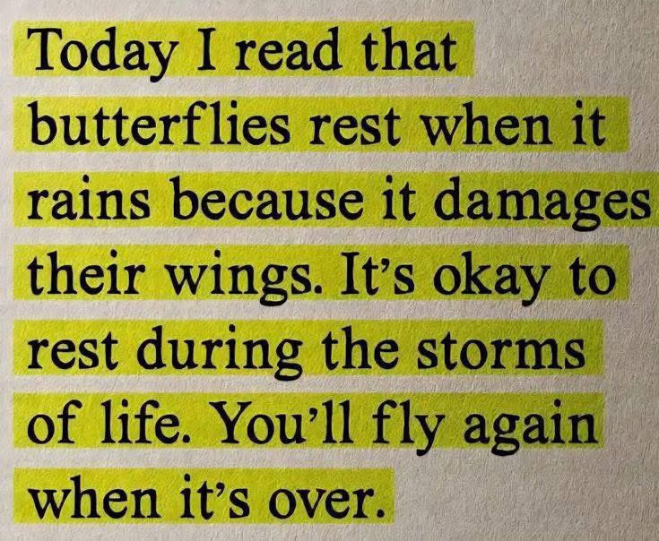 De-Luli🪿 (@2alaaaaaaaaaa2) on Twitter photo 