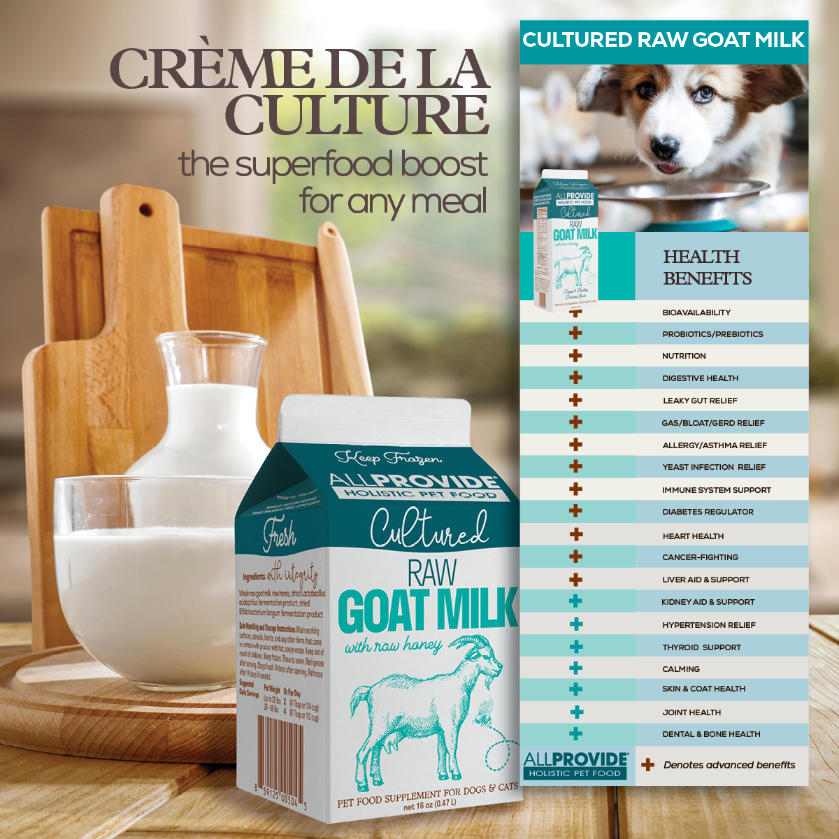 Allprovide Holistic Pet Food tweet media