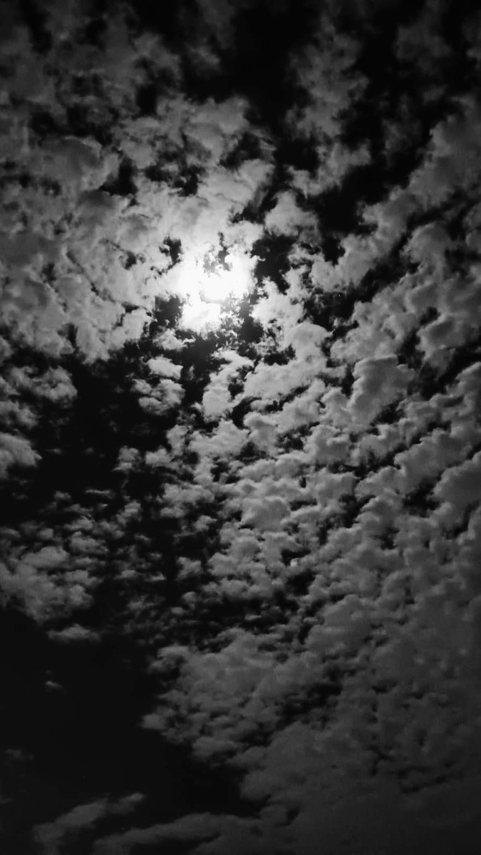 كثيراً ما يمر عليّ شعور ..
لا أستطيع تفسيره ..
ولكنه يؤلم قلبي جداً ..
هو مستقر في قلبي الآن ! ...♪